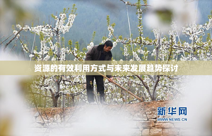 资源的有效利用方式与未来发展趋势探讨
