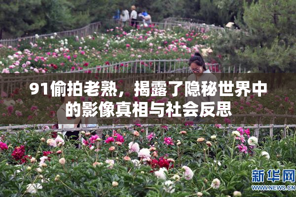 91偷拍老熟，揭露了隐秘世界中的影像真相与社会反思