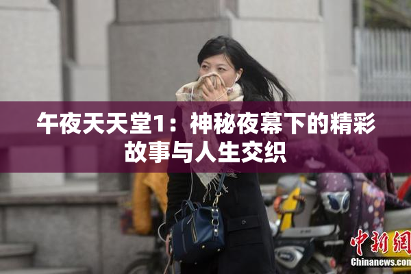 午夜天天堂1：神秘夜幕下的精彩故事与人生交织