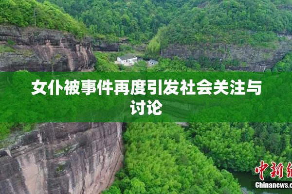 女仆被事件再度引发社会关注与讨论