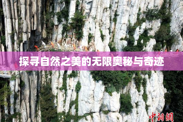 探寻自然之美的无限奥秘与奇迹