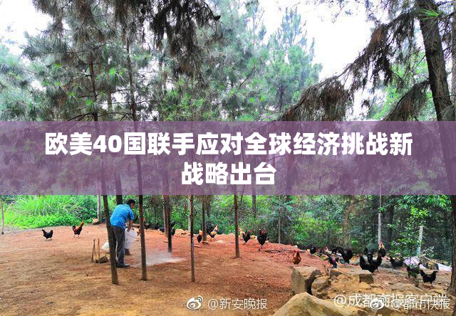 欧美40国联手应对全球经济挑战新战略出台