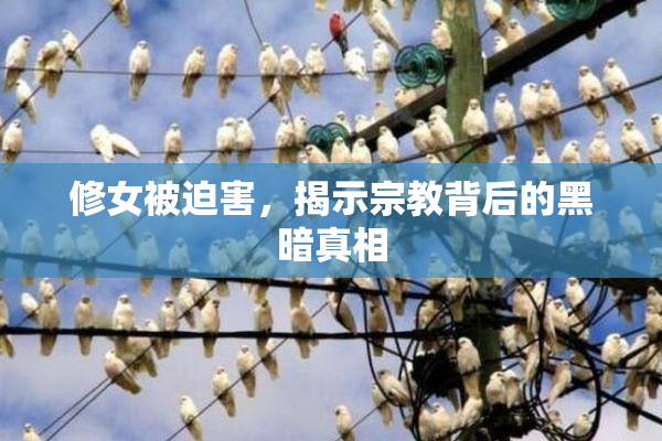 修女被迫害，揭示宗教背后的黑暗真相