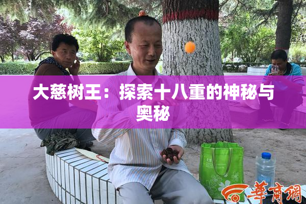 大慈树王：探索十八重的神秘与奥秘
