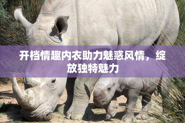 开档情趣内衣助力魅惑风情，绽放独特魅力