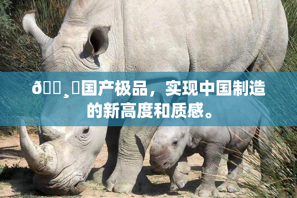 🌸‌国产极品，实现中国制造的新高度和质感。