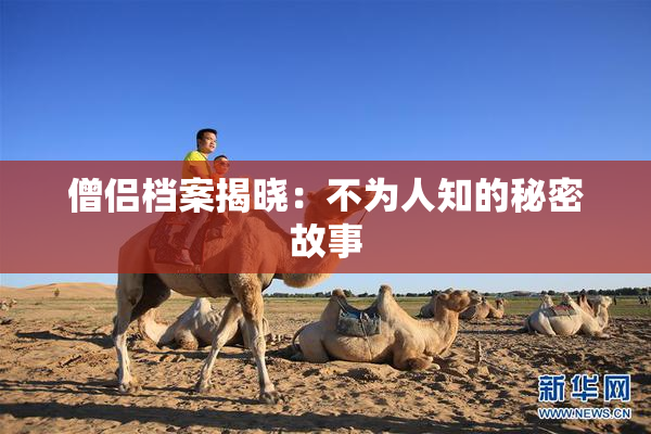僧侣档案揭晓：不为人知的秘密故事