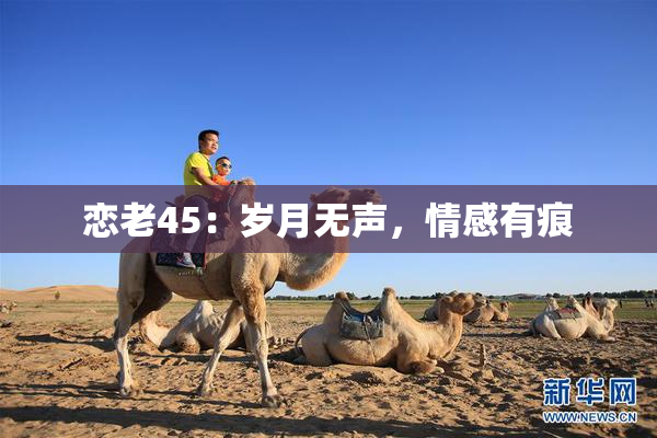 恋老45：岁月无声，情感有痕