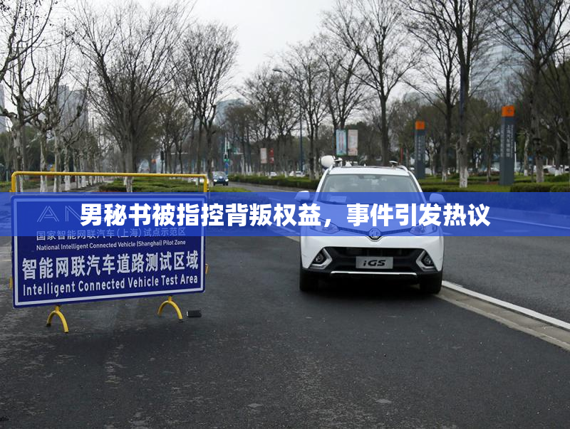 男秘书被指控背叛权益，事件引发热议