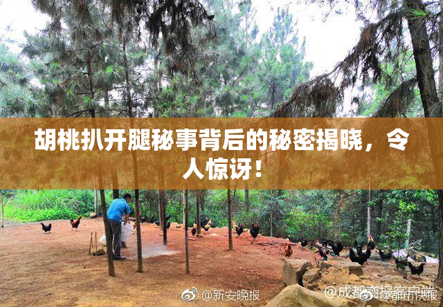 胡桃扒开腿秘事背后的秘密揭晓，令人惊讶！