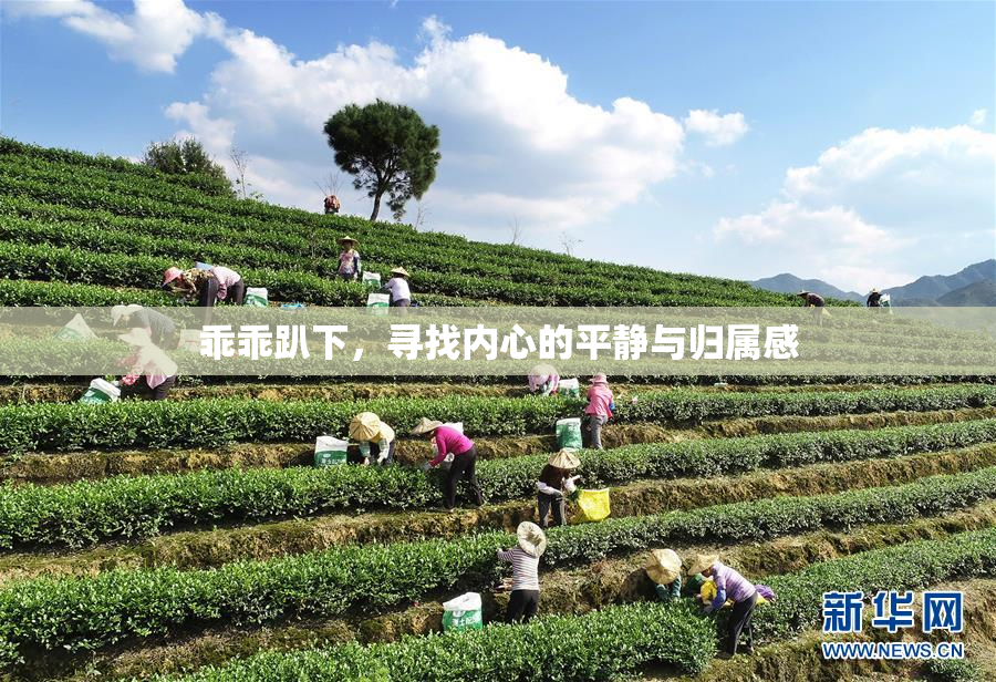 乖乖趴下，寻找内心的平静与归属感
