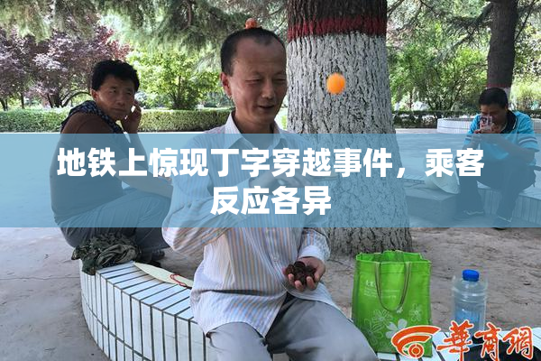 地铁上惊现丁字穿越事件，乘客反应各异
