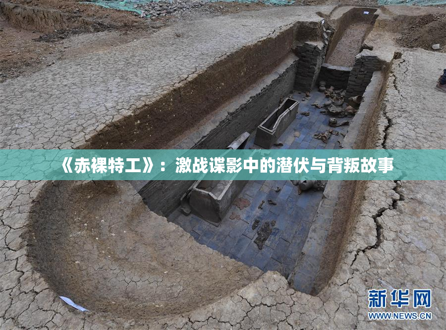 《赤裸特工》：激战谍影中的潜伏与背叛故事