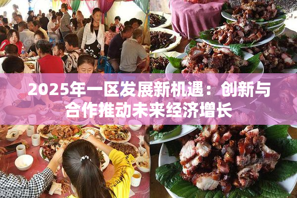 2025年一区发展新机遇：创新与合作推动未来经济增长