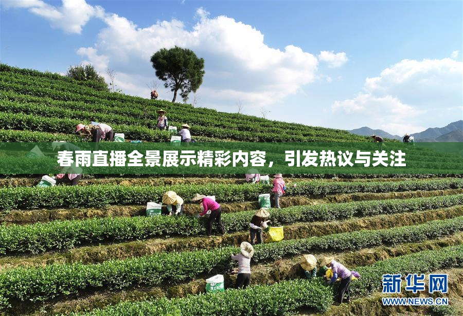 春雨直播全景展示精彩内容，引发热议与关注