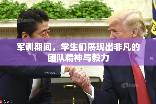 军训期间，学生们展现出非凡的团队精神与毅力