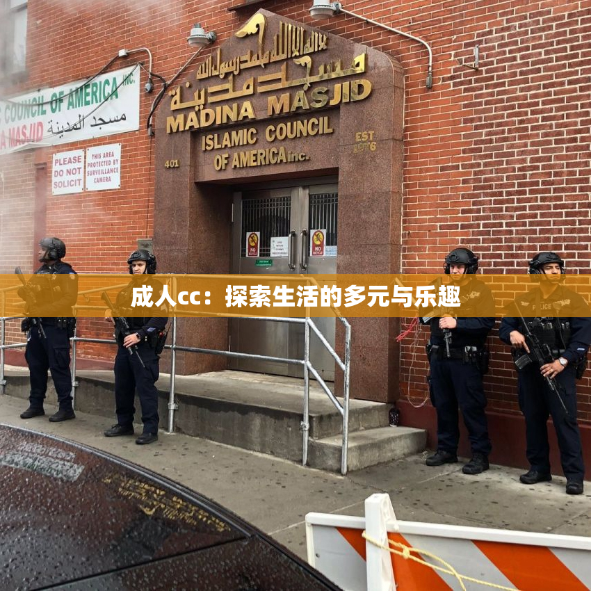 成人cc：探索生活的多元与乐趣