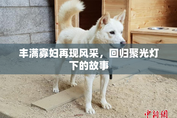丰满寡妇再现风采，回归聚光灯下的故事