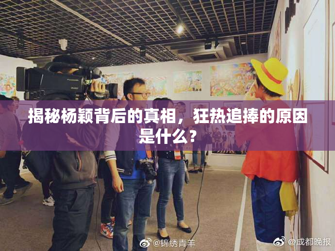 揭秘杨颖背后的真相，狂热追捧的原因是什么？