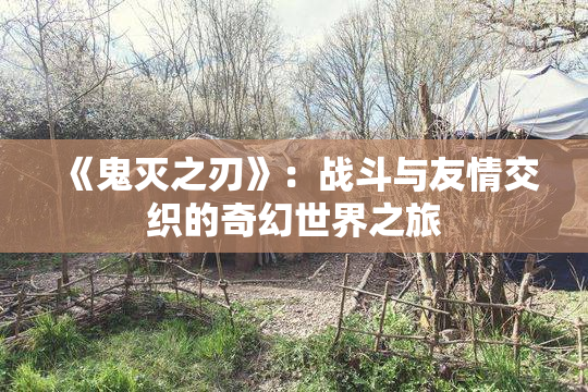 《鬼灭之刃》：战斗与友情交织的奇幻世界之旅