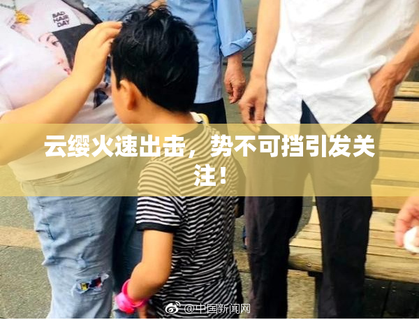 云缨火速出击，势不可挡引发关注！