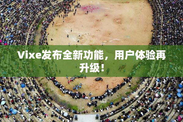 Vixe发布全新功能，用户体验再升级！