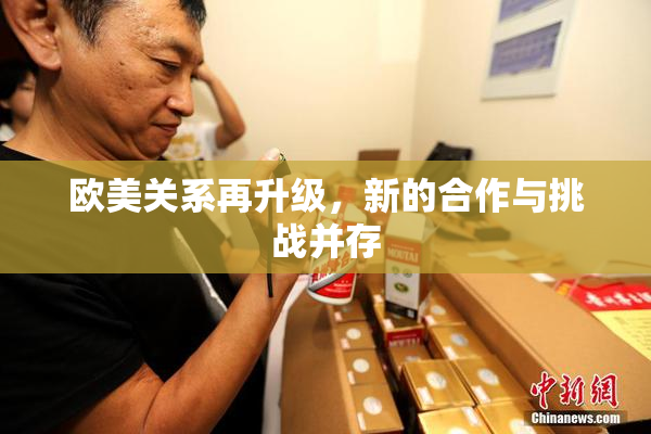 欧美关系再升级，新的合作与挑战并存
