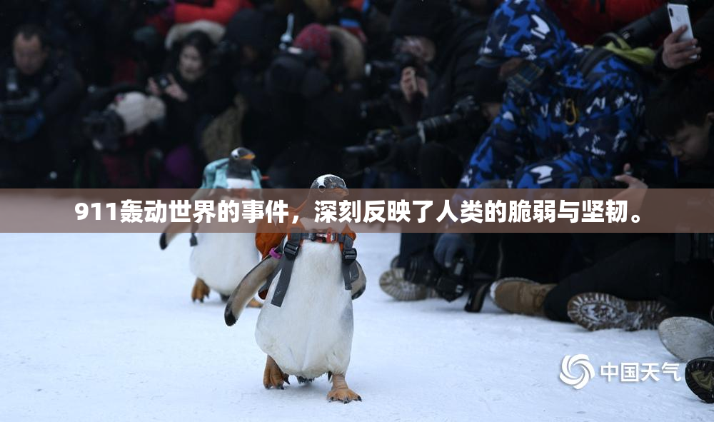 911轰动世界的事件，深刻反映了人类的脆弱与坚韧。