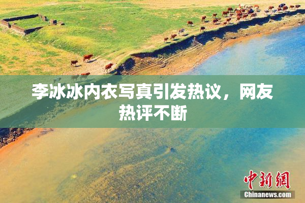 李冰冰内衣写真引发热议，网友热评不断