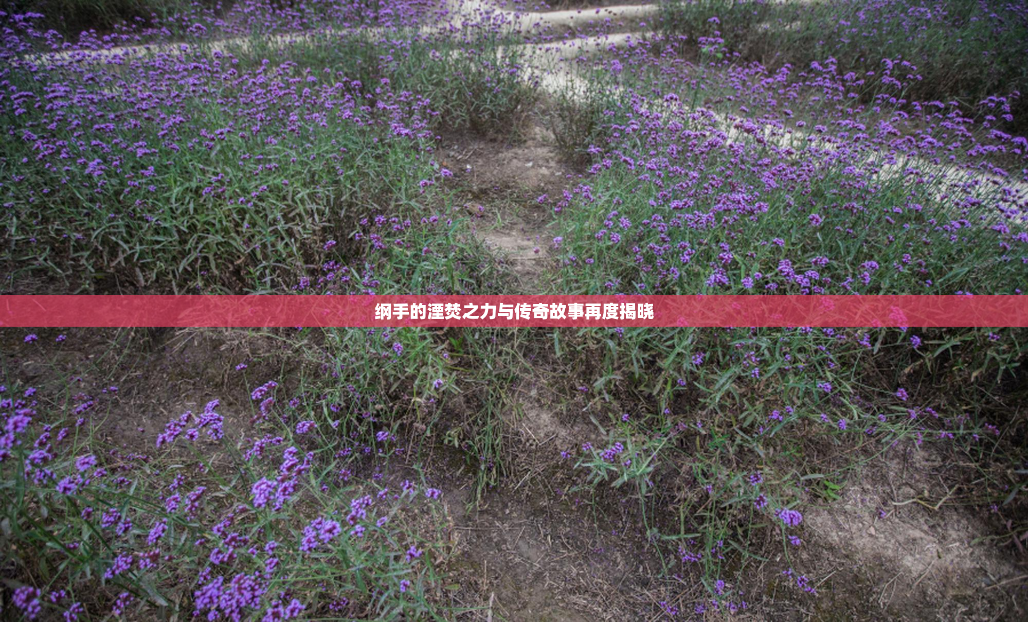 纲手的湮焚之力与传奇故事再度揭晓