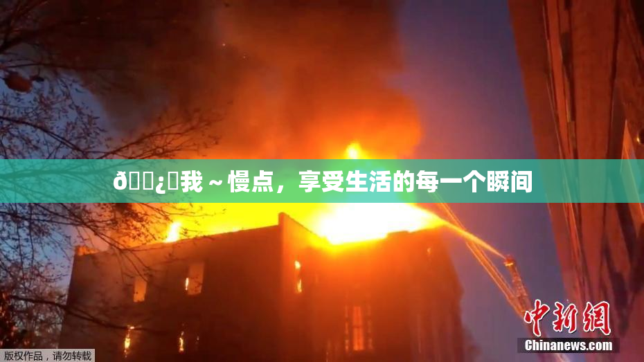 🌿‌我～慢点，享受生活的每一个瞬间