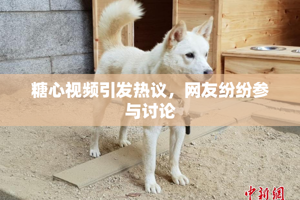 糖心视频引发热议，网友纷纷参与讨论