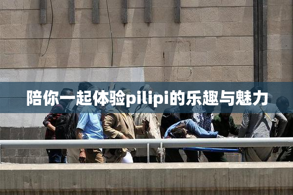 陪你一起体验pilipi的乐趣与魅力