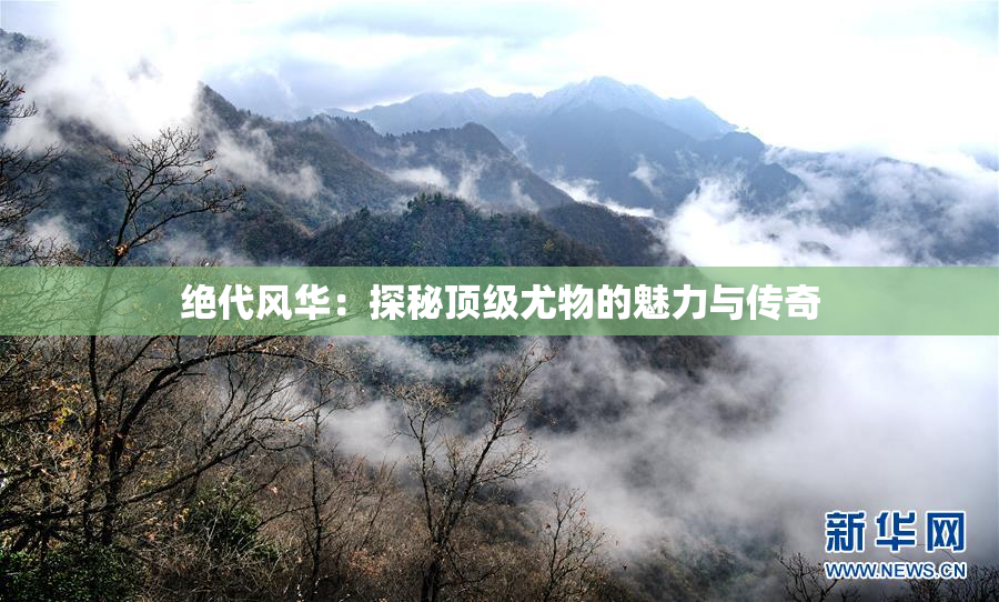 绝代风华：探秘顶级尤物的魅力与传奇