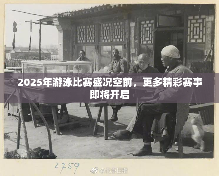 2025年游泳比赛盛况空前，更多精彩赛事即将开启