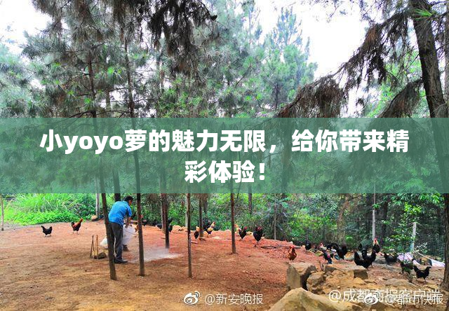 小yoyo萝的魅力无限，给你带来精彩体验！