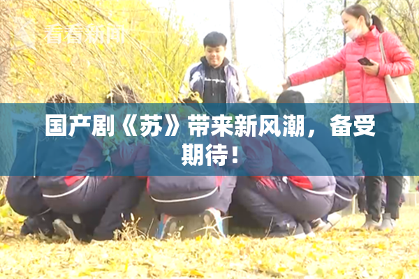 国产剧《苏》带来新风潮，备受期待！