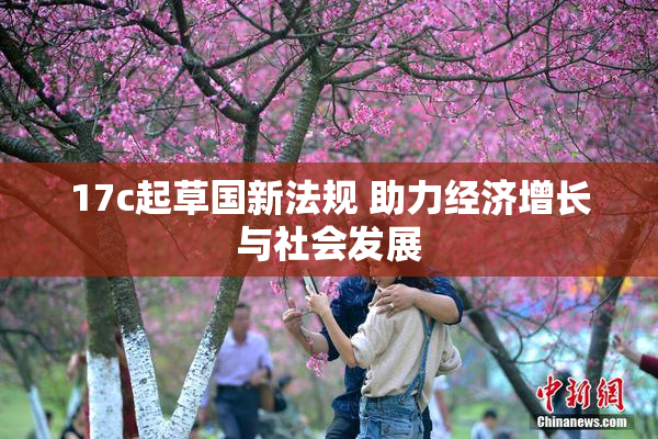 17c起草国新法规 助力经济增长与社会发展