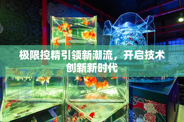 极限控精引领新潮流，开启技术创新新时代
