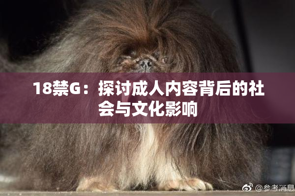 18禁G：探讨成人内容背后的社会与文化影响