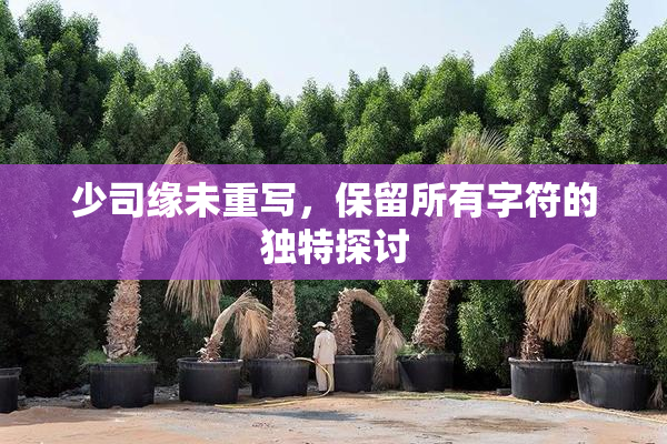 少司缘未重写，保留所有字符的独特探讨