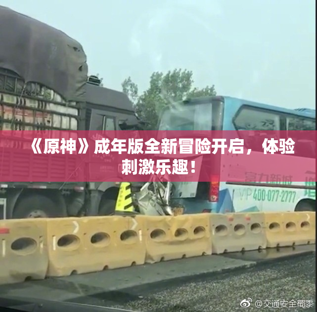 《原神》成年版全新冒险开启，体验刺激乐趣！