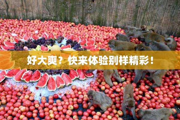 好大爽？快来体验别样精彩！