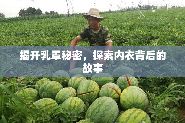 揭开乳罩秘密，探索内衣背后的故事