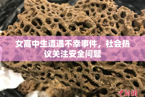 女高中生遭遇不幸事件，社会热议关注安全问题