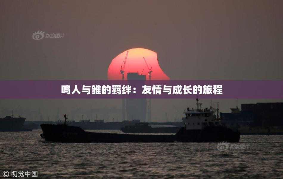 鸣人与雏的羁绊：友情与成长的旅程