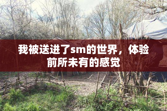 我被送进了sm的世界，体验前所未有的感觉