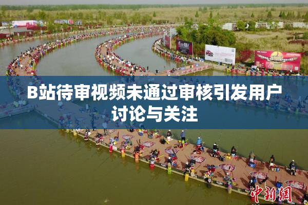 B站待审视频未通过审核引发用户讨论与关注