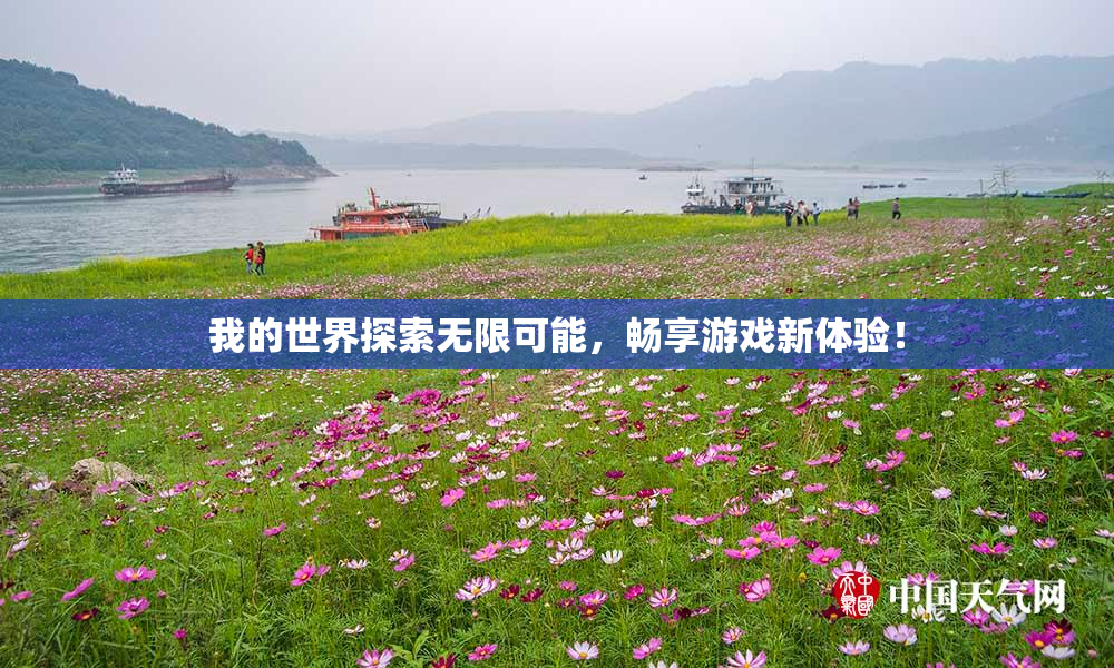 我的世界探索无限可能，畅享游戏新体验！