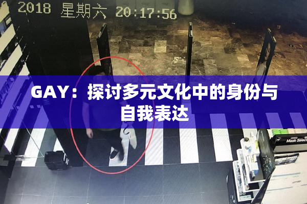 GAY：探讨多元文化中的身份与自我表达